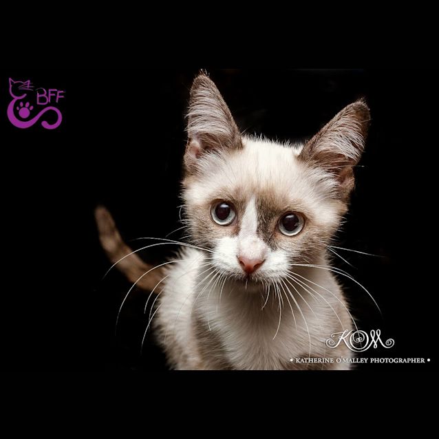 Photo of Marika 