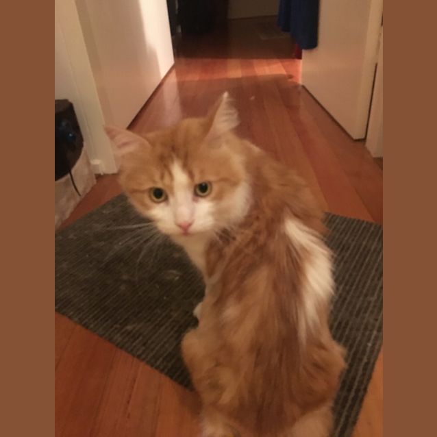 Photo of Phaz (Pronounced Faz) Aka Prince Harry!