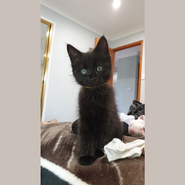 Photo of Gamora 😻