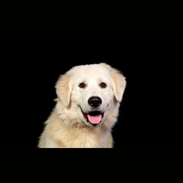 Photo of Snowy