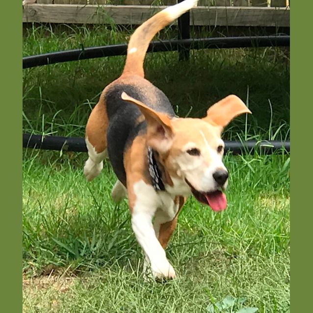 Photo of Riley & Meika