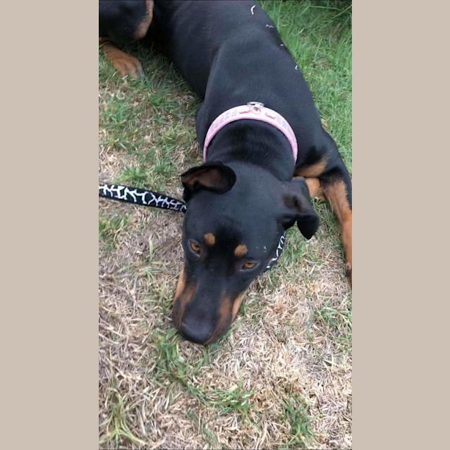 Photo of Nephele