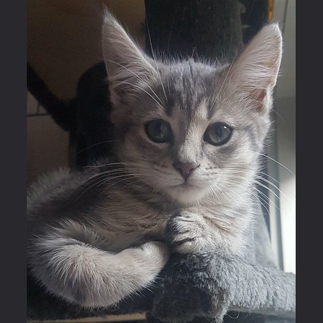 Photo of Tuna