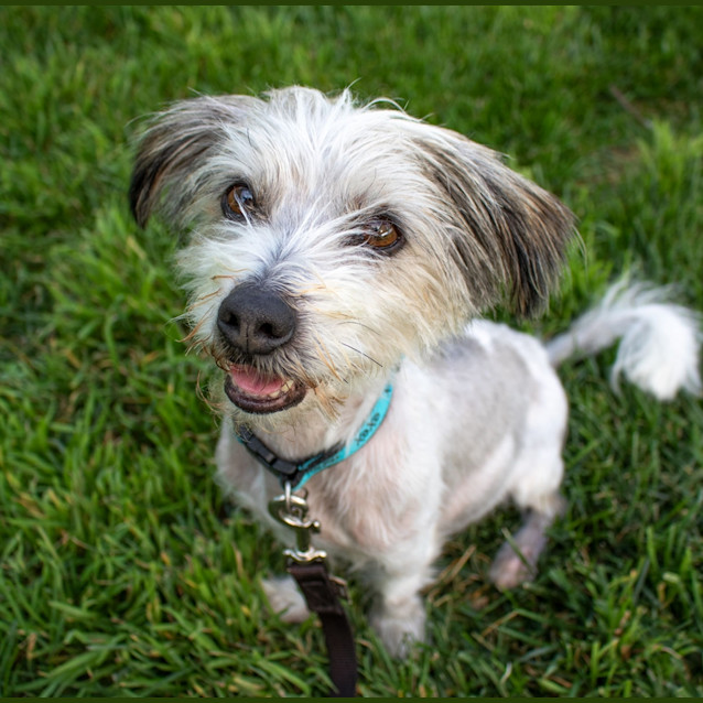 Photo of Coco