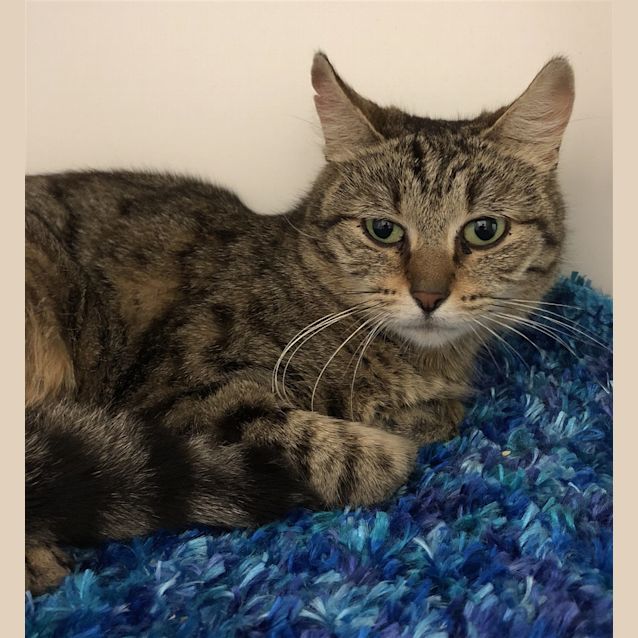 Photo of Ora