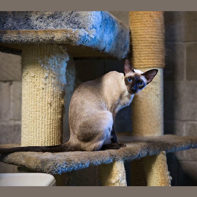 Photo of Temperance And Tempany (Dual Adoption)