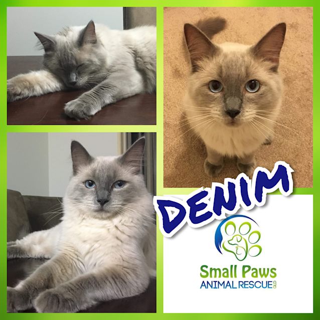 Photo of Denim