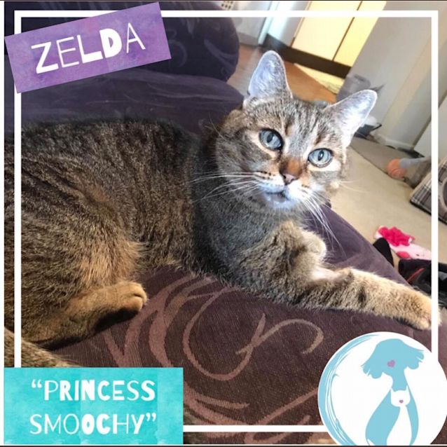 Photo of Zelda
