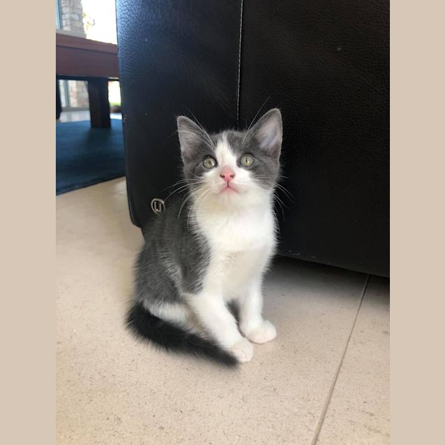 Photo of Lil Wayne 💚