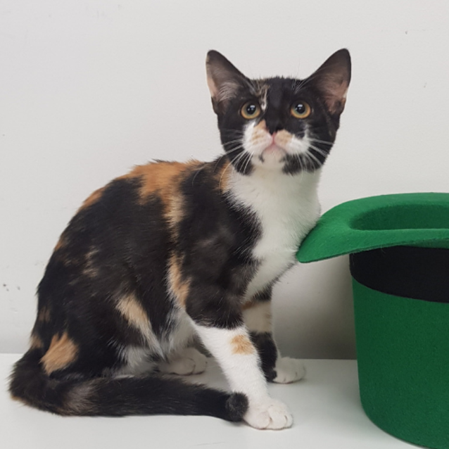 Photo of Maeve