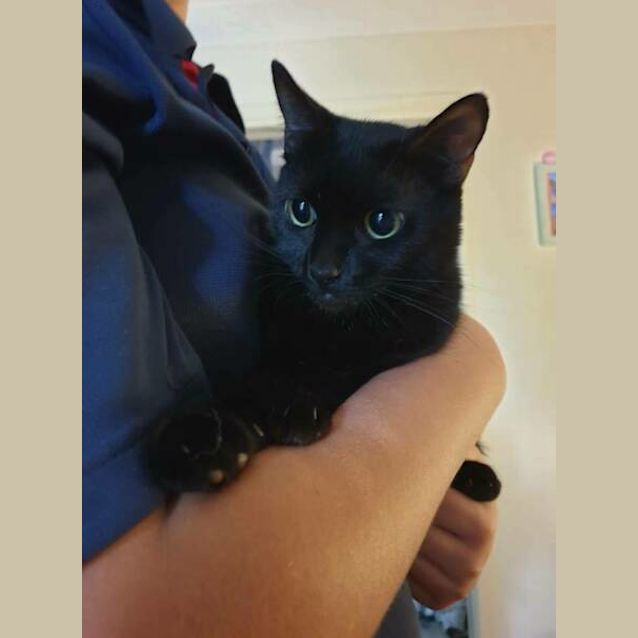 Photo of Mocha