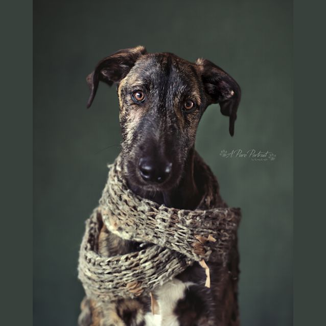 Photo of Cedric