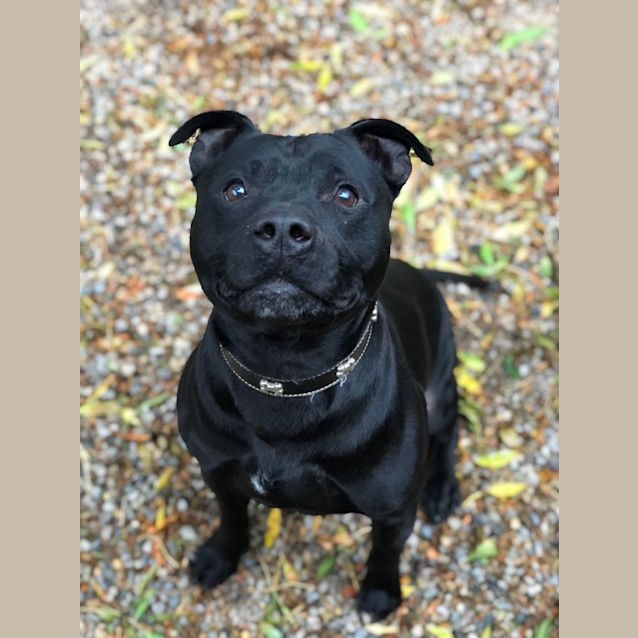 Photo of Robbie