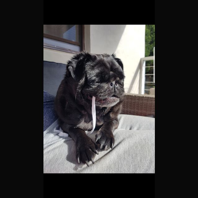 Photo of Beautiful And Adorable Porsha