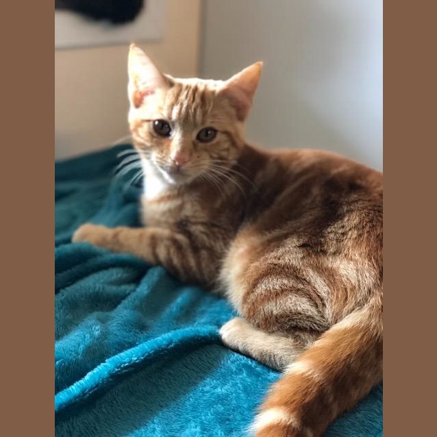 Photo of Franky