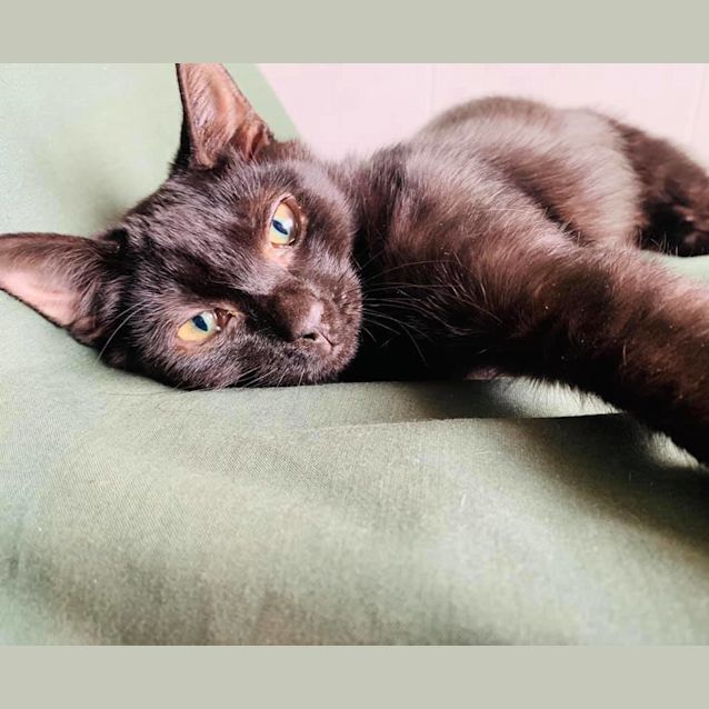 Photo of Miss Jacqueline