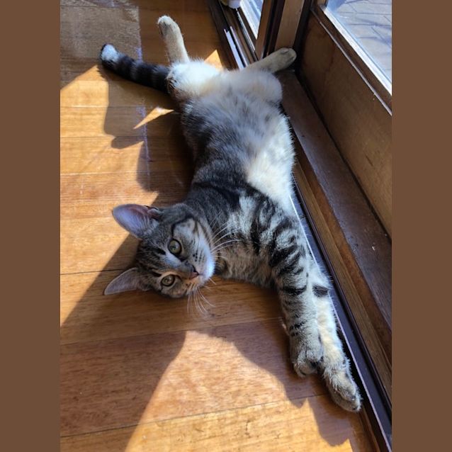Photo of Oscar