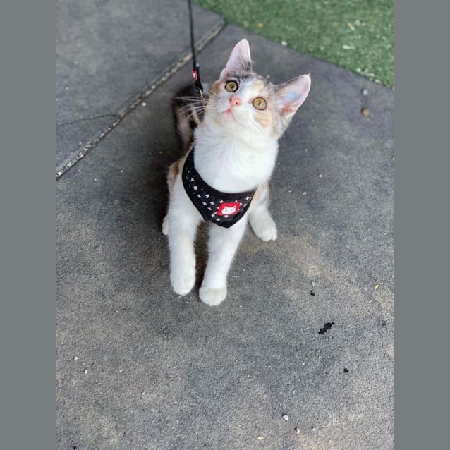 Photo of Myla 