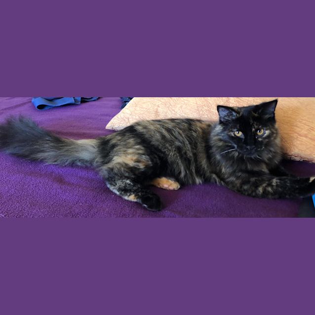 Photo of Pinky 