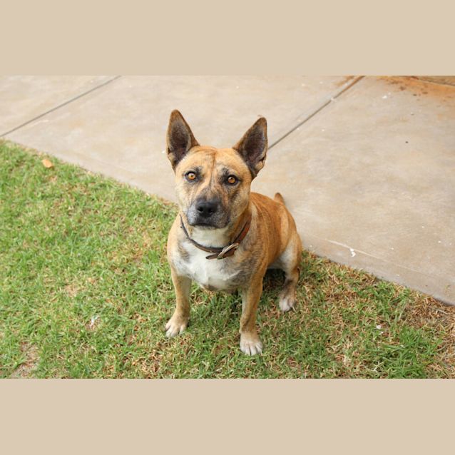 Photo of **On Trial** Sal