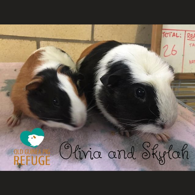 Photo of Olivia And Skylah