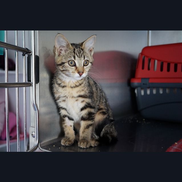Photo of Edyth