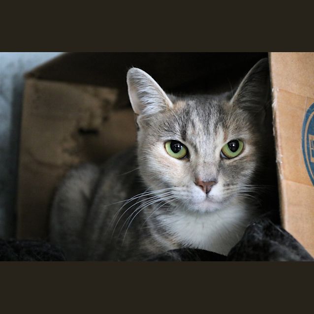 Photo of Suzie