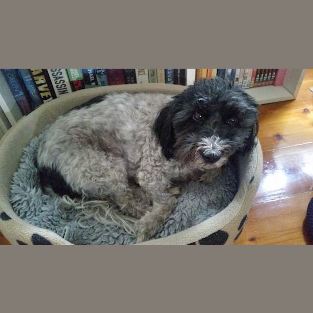 Photo of Arthur