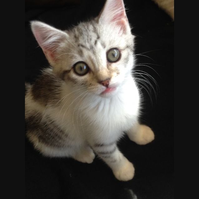 Photo of Minnie