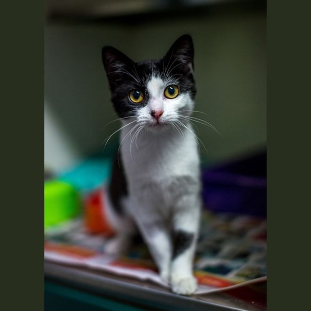 Photo of Lilly