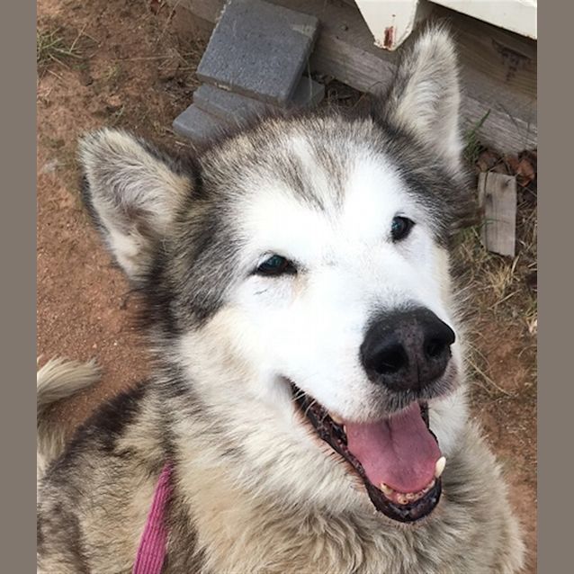 Photo of Zeus