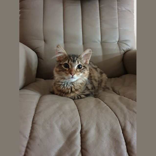 Photo of Tommy