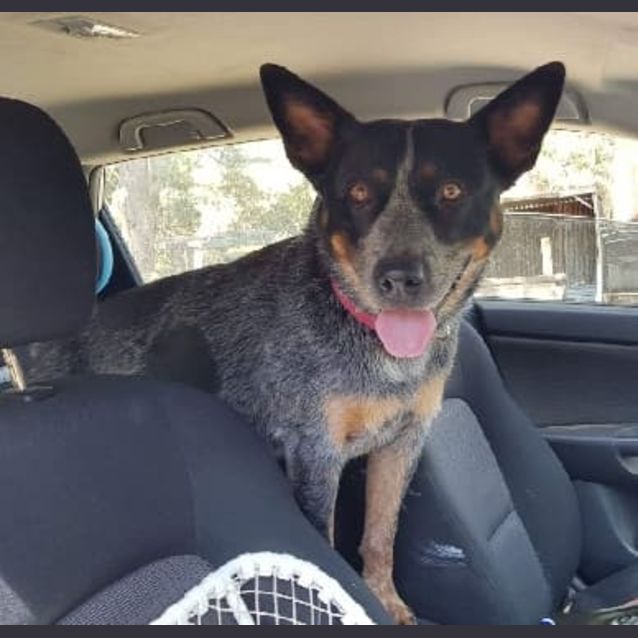 Photo of **On Trial**  Storm