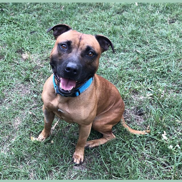 Photo of Astro