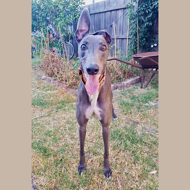 Photo of Rory. Melbourne