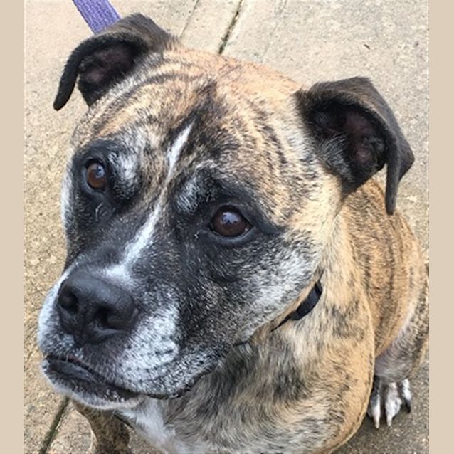 Photo of Maxie