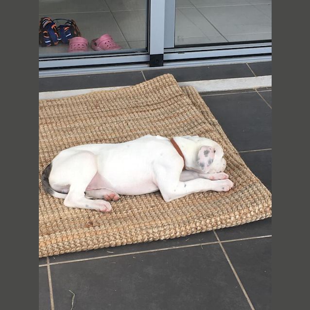 Photo of Patch 