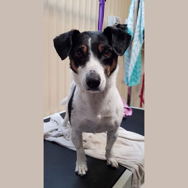 Photo of **On Trial**Sporty