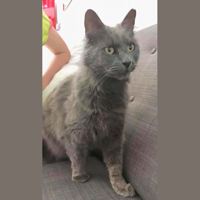 Photo of Stormy