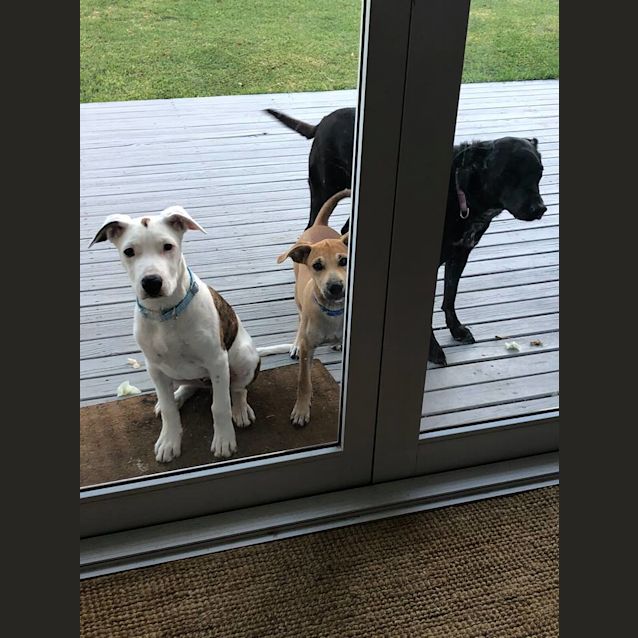 Photo of Eddie Db467