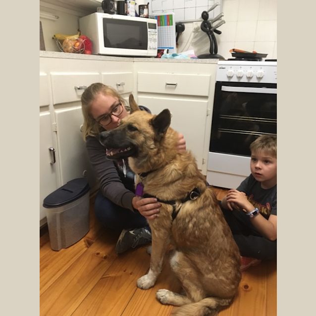 Photo of **On Trial** Wilson