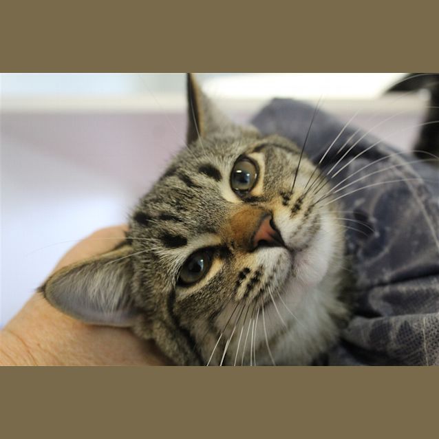 Photo of Bessie