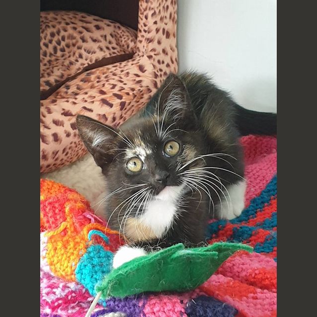 Photo of Sheena