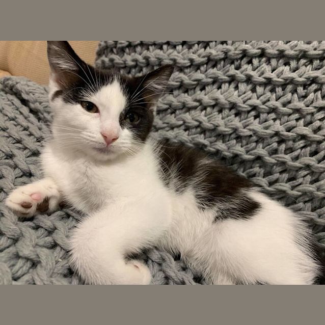Photo of Frieda 