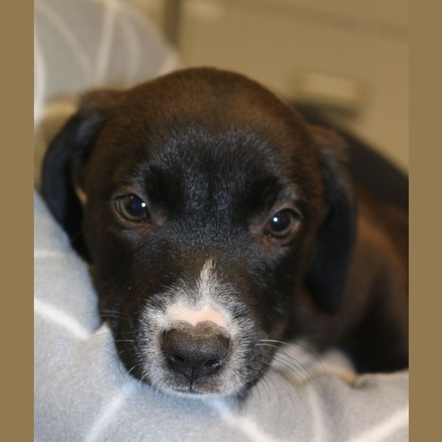 Photo of Coco