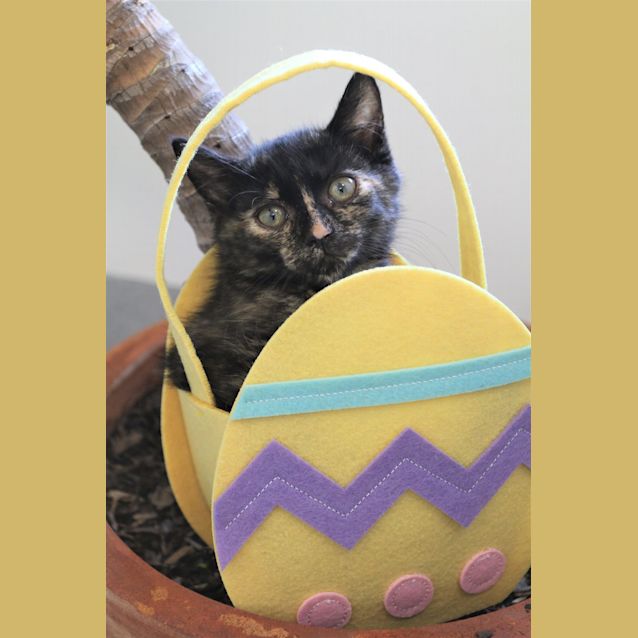 Photo of Birdie Mae