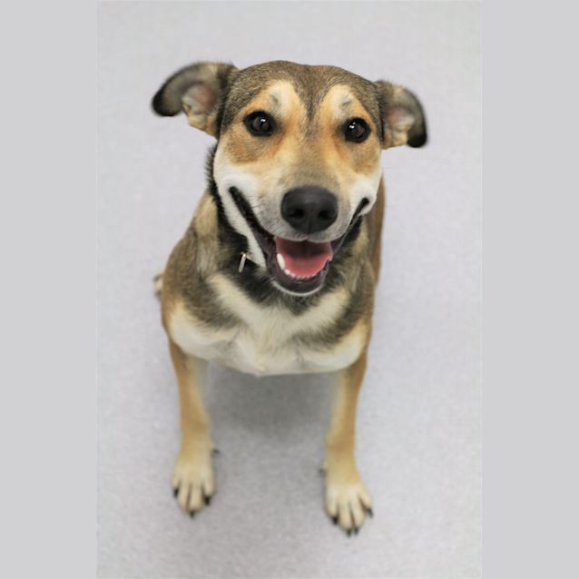 Photo of Peanut