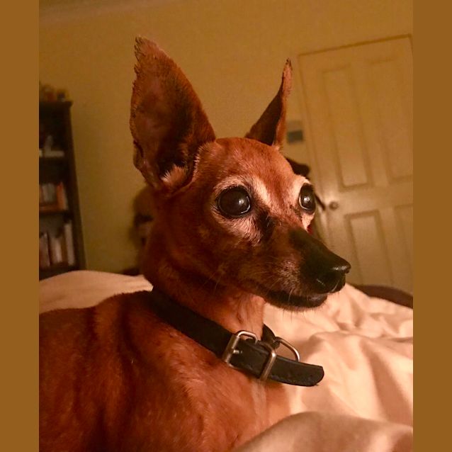 Photo of Mimi 