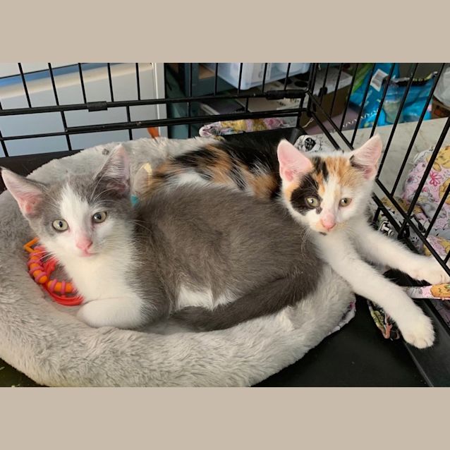 Photo of Dathany And Tanya