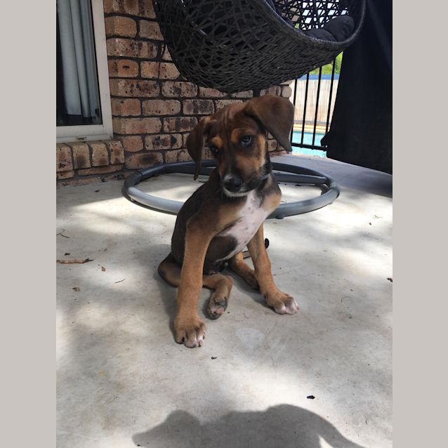 Photo of Gideon 